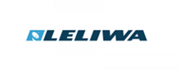 Corporate Identity dla LELIWA