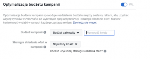 Optymalizacja budżetu kampanii.