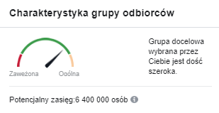 Charakterystyka grupy odbiorców.