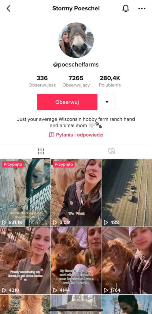 TikTok profil Stormy Poeschel