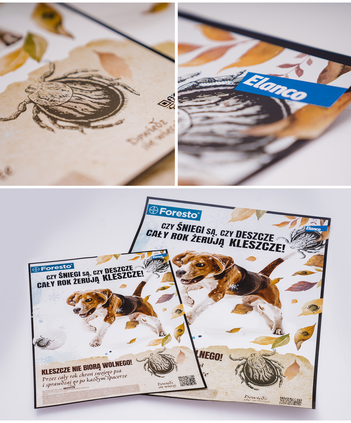 Porfolio Veneo - Elanco – educational campaign 4