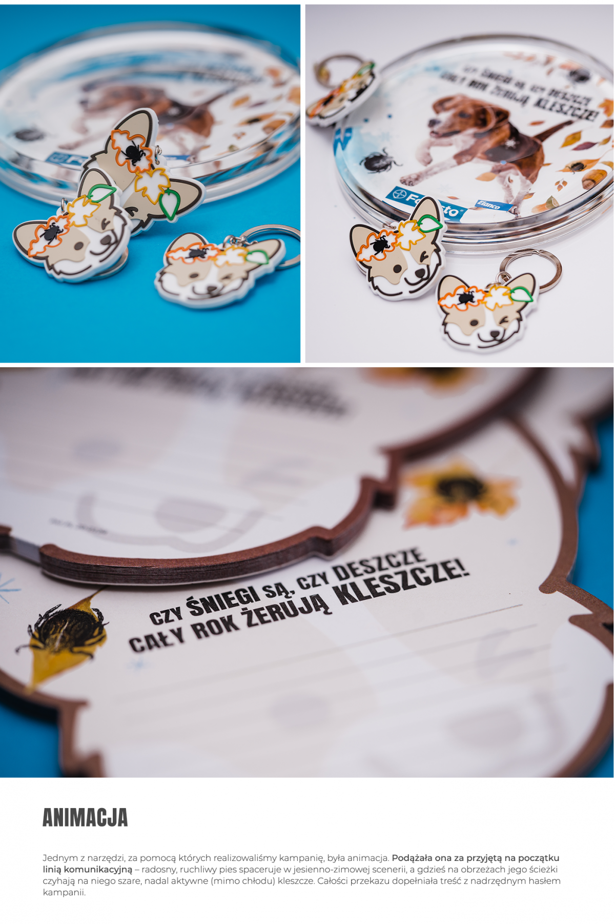 Porfolio Veneo - Elanco – educational campaign 8