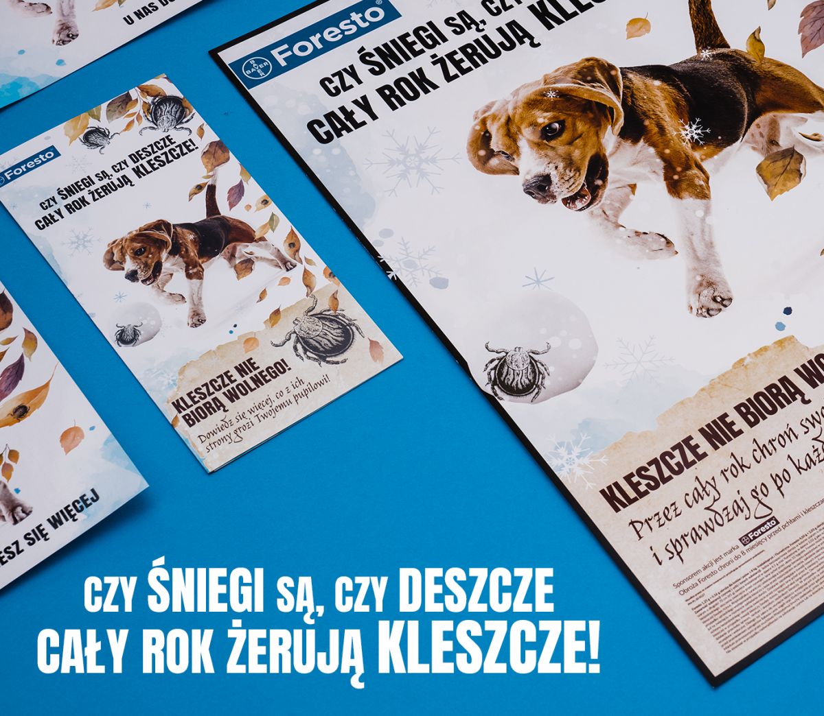 Porfolio Veneo - Elanco – educational campaign 1