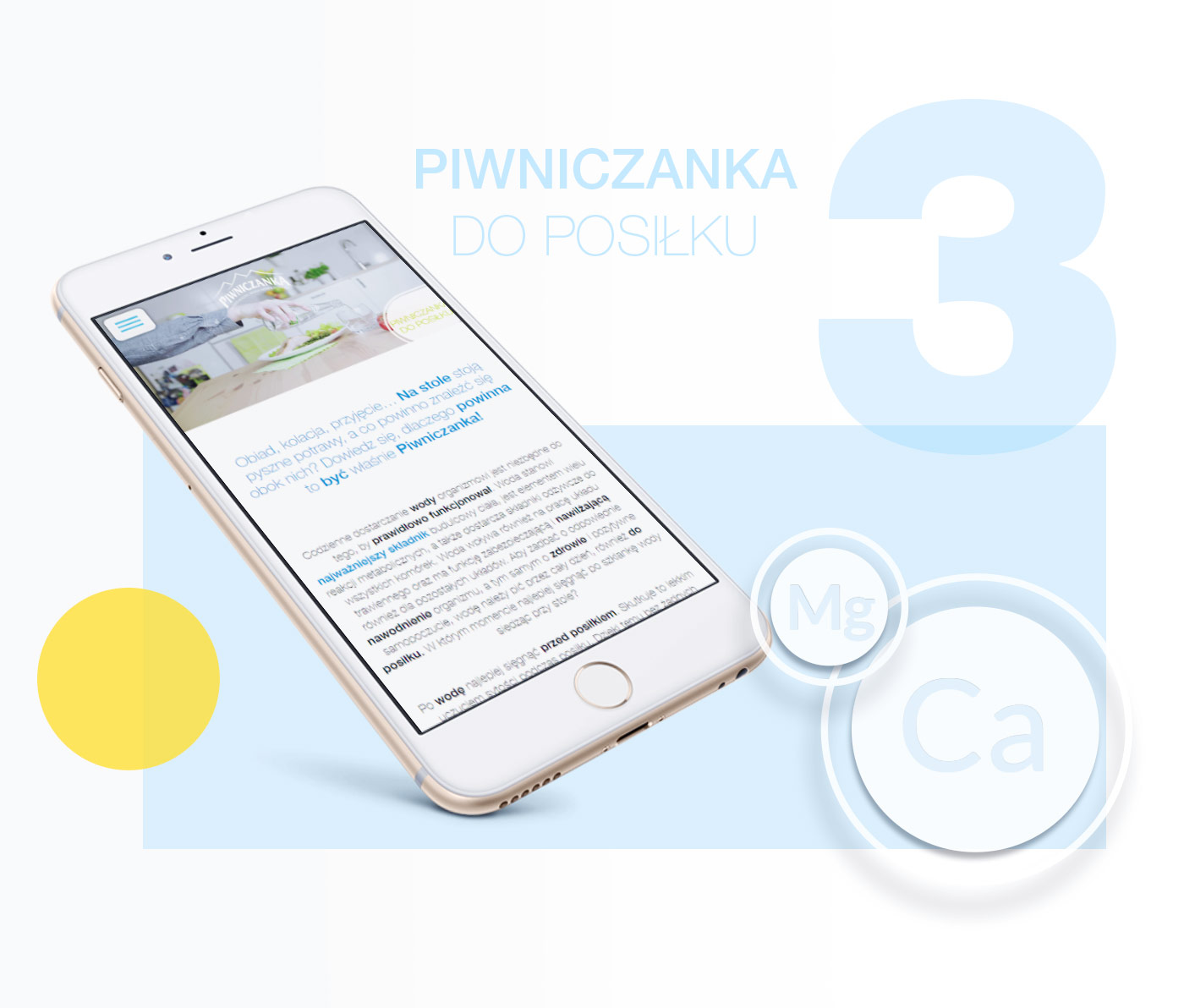 Porfolio Veneo - Piwniczanka 3