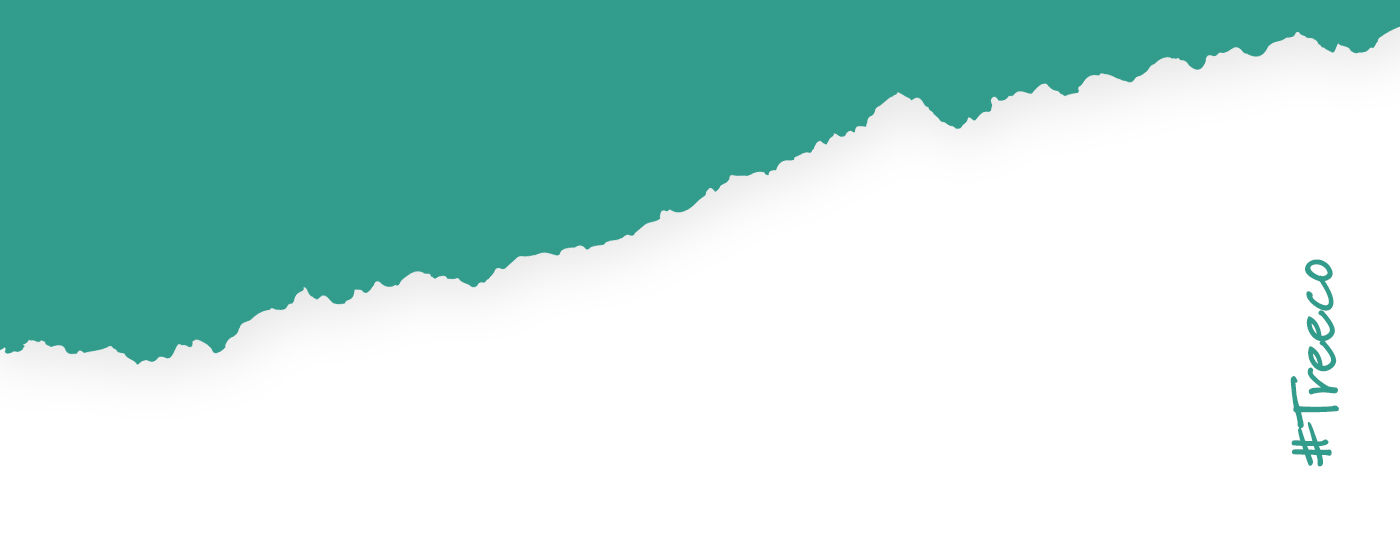 Porfolio Veneo - TreECO – Naturalnie w paczce 11