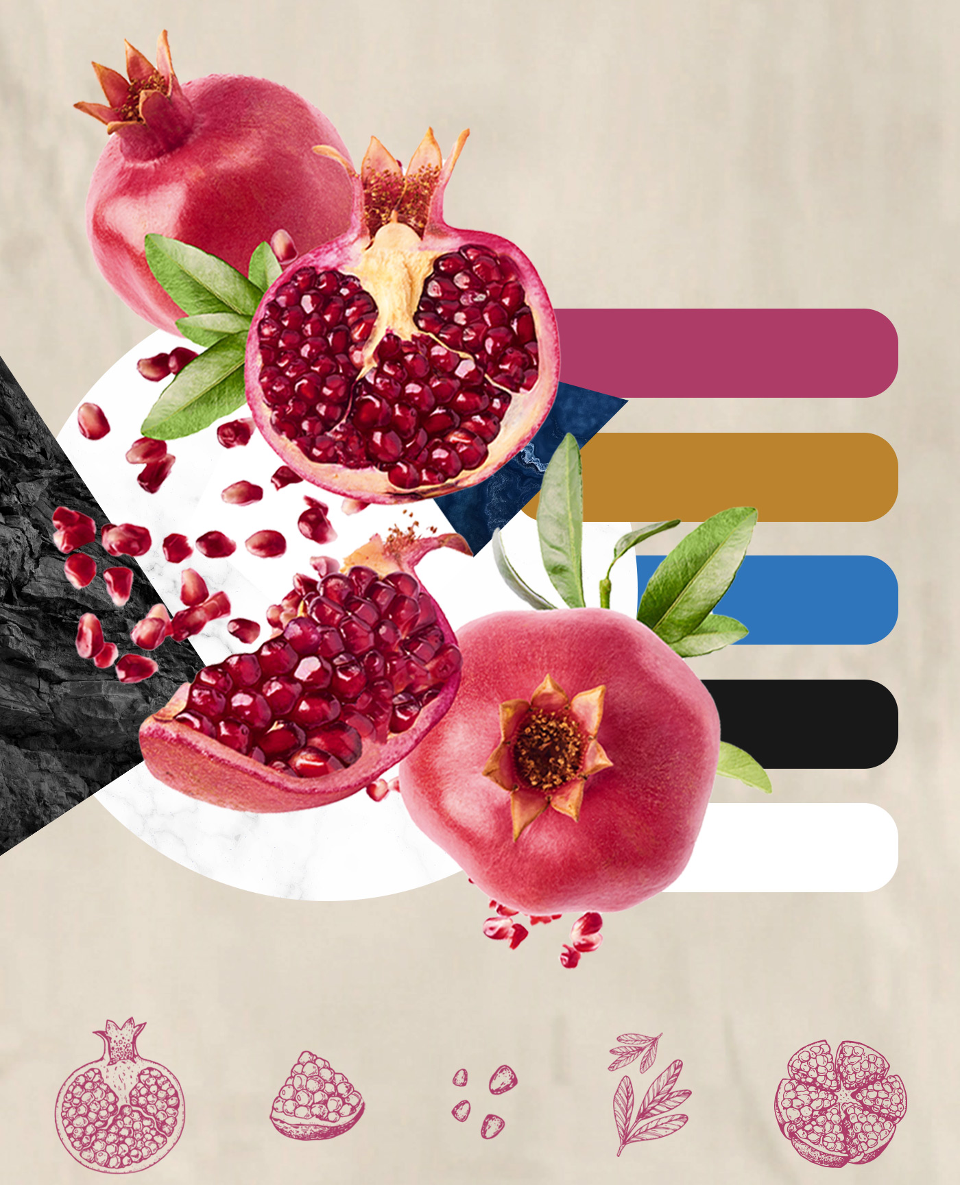 Porfolio Veneo - GRANGO® – nowe opakowania i etykiety dla nutraceutyków i kosmetyków z polifenoli z granatu 3